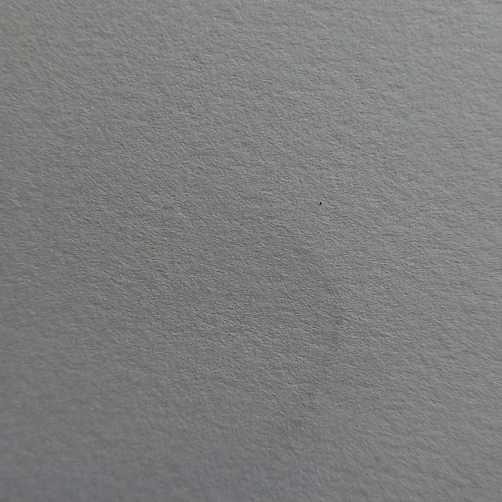 Tree Print - Picture 4 of 4
